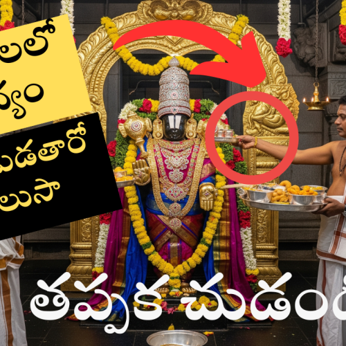 How to offer offerings in Tirumala
